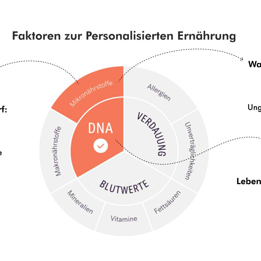 Lykon DNA Test NutriWell [Erfahrungsbericht] - Personalisierte Ernährung